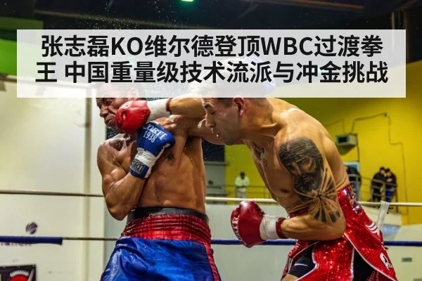 张志磊KO维尔德登顶WBC过渡拳王 中国重量级技术流派与冲金挑战（jiuyou game）